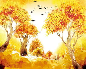 寫(xiě)楓樹(shù)的詩(shī)句古詩(shī)