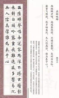 關(guān)于五言律詩(shī)的詩(shī)句