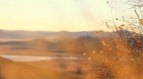 關(guān)于滄海桑田的詩句