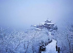 20句描寫雪的古詩句