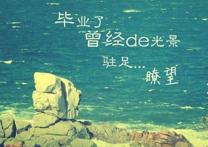 關(guān)于畢業(yè)青春的詩(shī)句