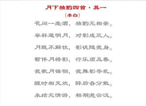 古詩里有關(guān)漂亮衣服的詩句