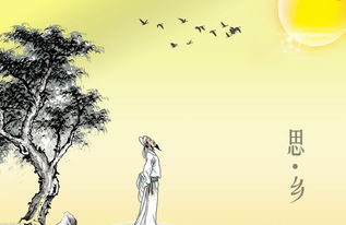 關于故鄉(xiāng)情的詩句古詩