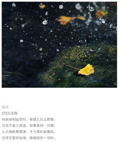 關(guān)于秋雨的詩句古詩詞,描寫秋雨的詩句古詩詞,贊美秋雨的詩句古詩詞