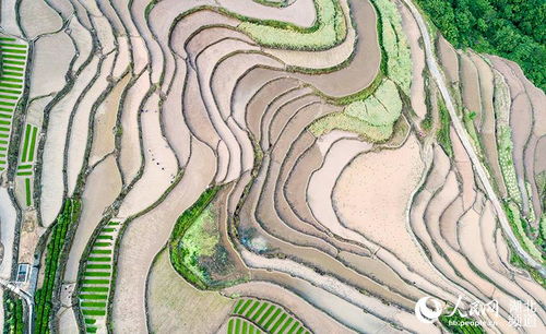 生態(tài)農(nóng)業(yè),詩句