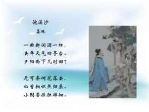 上冊(cè),詩(shī)句,八級(jí),語(yǔ)文