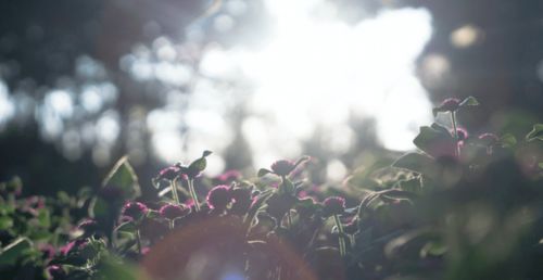 靈犀,詩句,朋友,間心有