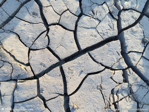 干涸,詩(shī)句,土地