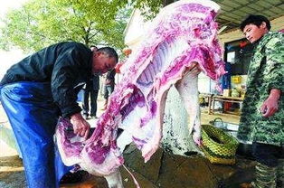 古詩句殺豬宰羊