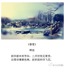 我想搜索關(guān)于下雪的詩句
