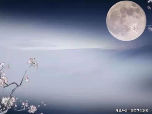 寫中秋節(jié)寫酒的詩句古詩