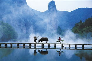 關(guān)于詠仙都的詩(shī)句作品