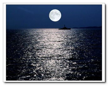 寫大海明月的古詩(shī)句