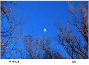 關(guān)于正月十五思鄉(xiāng)的詩(shī)句