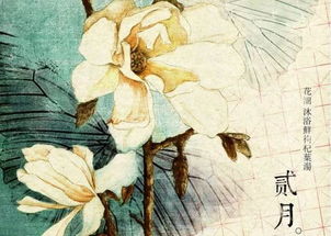 飛花,詩(shī)句,漫空古