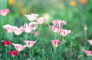 關于花的意境詩句