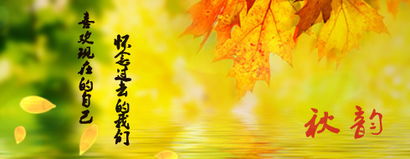 贊美桔子的古詩句