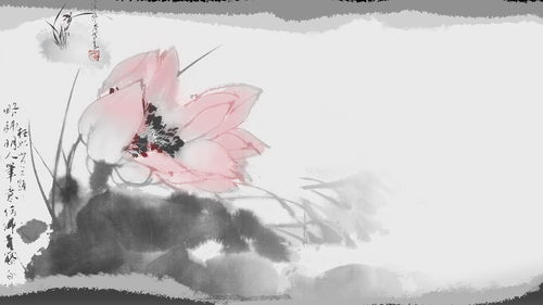 有關(guān)歲月的古詩(shī)句