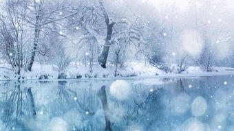 關(guān)于雪的詩句朱成玉