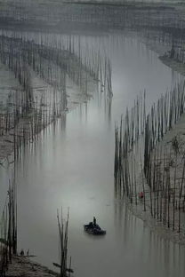 關(guān)于貧賤富貴的詩句