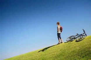 關于理財保險的詩句