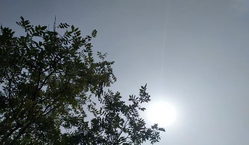 詩句,寄托,思念,于月