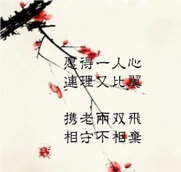 關(guān)于如霜的詩句