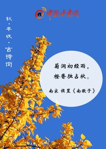古詩,詩句,豐收,秋天