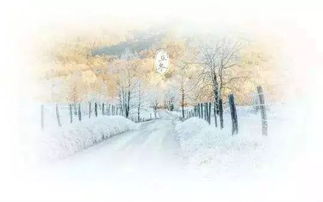 關(guān)于溫那的詩(shī)句