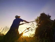 關(guān)于和父母旅游的詩句