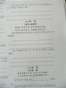 檢驗(yàn)成果的詩(shī)句,檢驗(yàn)真理的詩(shī)句,經(jīng)得起檢驗(yàn)的詩(shī)句