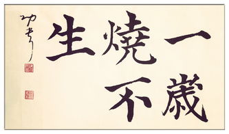 白居易寫的關(guān)于小草的詩句,白居易贊美小草的詩句,白居易稱贊小草的詩句