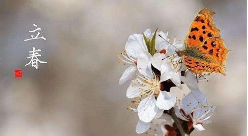 關(guān)于春的詩句和立春的一個(gè)農(nóng)諺