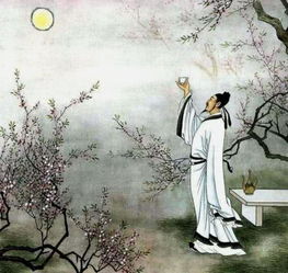 杜甫的關(guān)于讀書的詩句