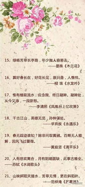 中常,詩句,用到,生活