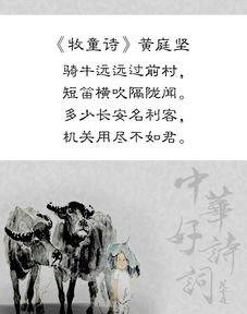 描寫情的詩句古詩詞