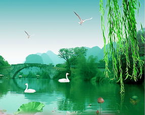 詠柳古詩詩句的意思,詠柳的詩句意思,詠柳解釋詩句的意思