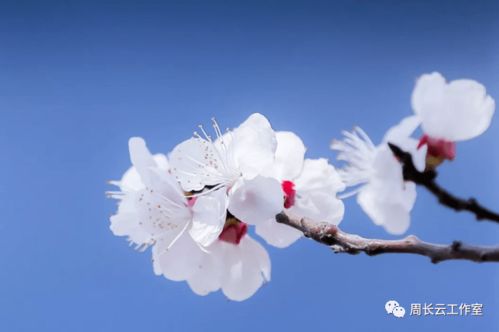 順境利于成長的詩句,在順境中成長的詩句,順境更有利于人的成長詩句