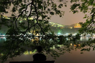 西湖,詩句,風(fēng)景