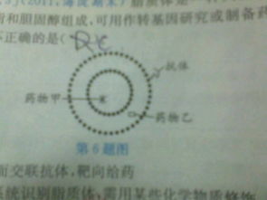 關(guān)于堅(jiān)守信仰的詩(shī)句