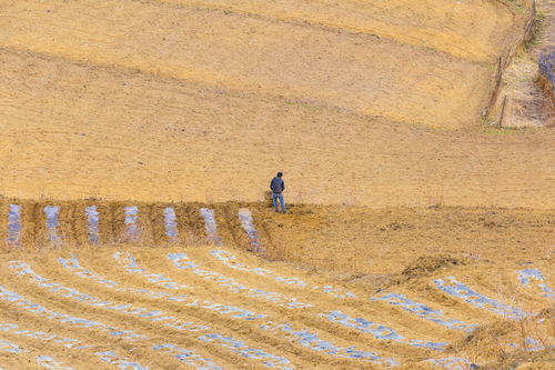 春天播種希望的詩(shī)句,描寫(xiě)春天播種的詩(shī)句,關(guān)于春天播種的詩(shī)句有哪些