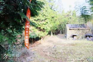 古詩,詩句,跑步