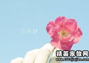 關(guān)于寂寞孤獨(dú)無聊的詩句