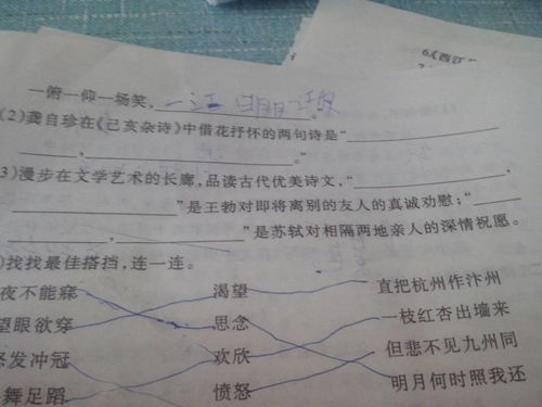 借酒抒懷的古詩(shī)句