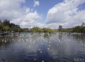 關于昆明翠湖的詩句