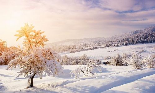 關(guān)于雪的詩(shī)句古詩(shī)詞初一