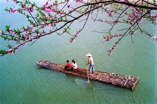 關于田園幽靜的詩句