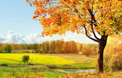 形容秋天天氣好的古詩句