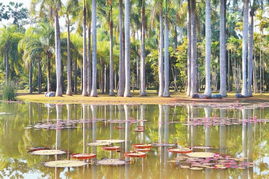 關于環(huán)境的作用的詩句