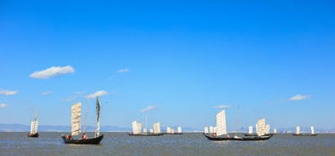 對(duì)自由生活向往的古詩(shī)句